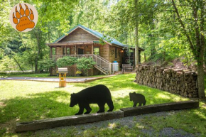 Cozy Bear, Sevierville